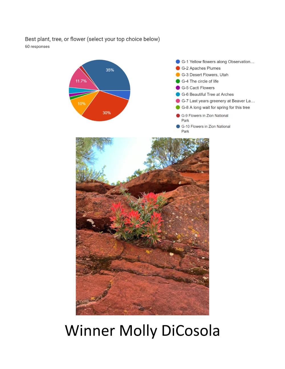 Best Plant, Flower, or tree